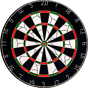 Bull's Bristol dartskive med pile