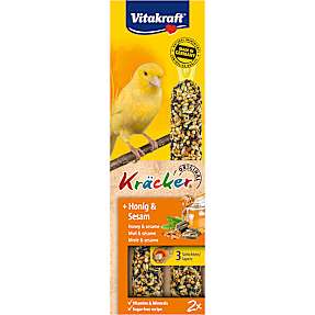 Fuglesnacks kanariefugl