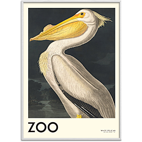 The Zoo Collection Pelican - 30x40 cm