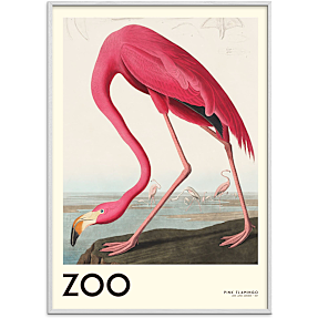 The Zoo Collection Flamingo - 30x40 cm