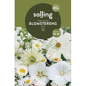 Salling frøblanding Blomstereng -  hvid