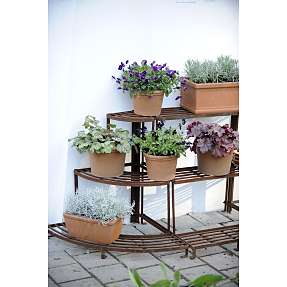 Claus Dalby plantereol - midtersektion rust