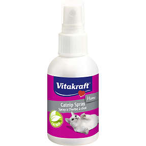 Catnip spray