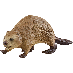 Schleich 14855 bæver