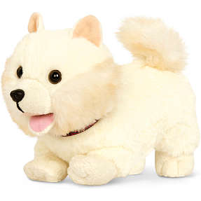 Our Generation Pommeraner hvalp