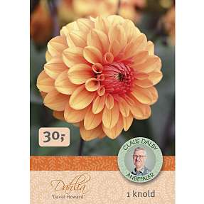 Claus Dalby Dahlia David Howard