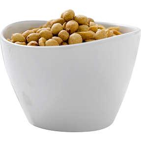 Steel-function Pisa porcelænsskåle - 4 stk.