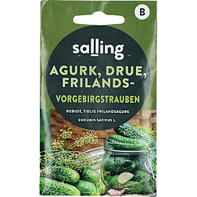 Salling drueagurker Vorgebirgstrauben