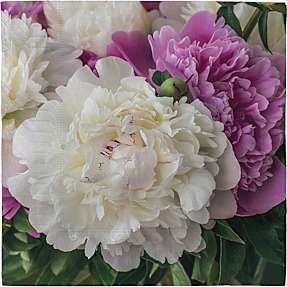 Windsor mønstrede servietter 33x33 cm 20-pak