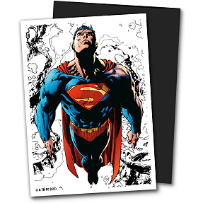 Lommer i mat finish med Superman - 100 stk.