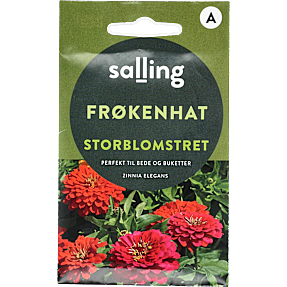 Salling frøkenhat storblomstret