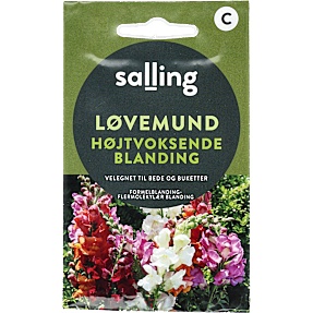 Salling løvemund højtvoksende blanding