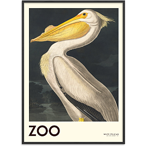 The Zoo Collection Pelican - 30x40 cm