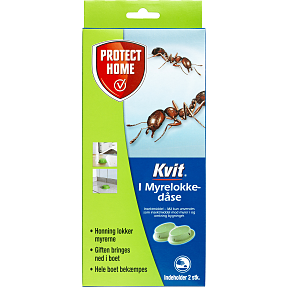 Kvit i myrelokkedåse