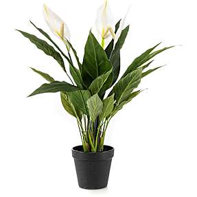 Kunstig plante - Spathiphyllum