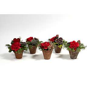 Lerpotte med nelliker og pynt i 6 cm potte