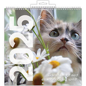 Billedkalender 2025 - katte