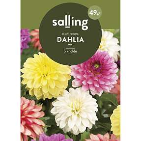 Salling blomsterløg Dahlia Mix
