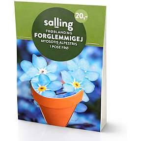 Salling potte med frøblanding - Forglemmigej Myosotis Alpestris