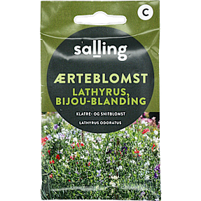 Salling ærteblomst Lathyrus-Bijou mix