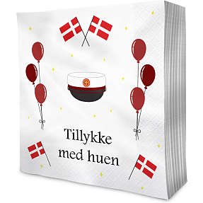 Servietter m. røde studenterhuer 33x33 cm 20-pak