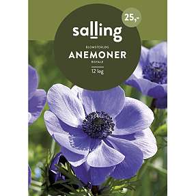 Salling blomsterløg Anemoner Coronaria Royale