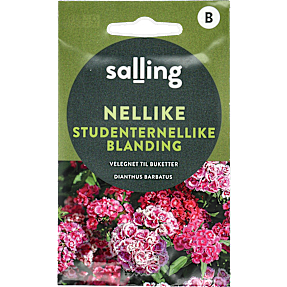 Salling nellike Studenternellikeblanding
