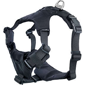 Hundesele str. L - sort