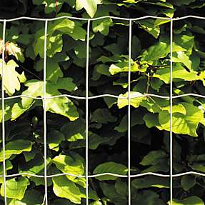 HORTUS havehegn 25 meter x 80 cm høj - galvaniseret