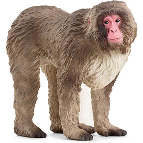 Schleich japansk makakabe 14871