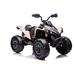 Can Am Renegade ATV