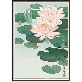 Water lilies, japansk - 70x100 cm