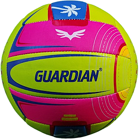 Guardian beach volleybold