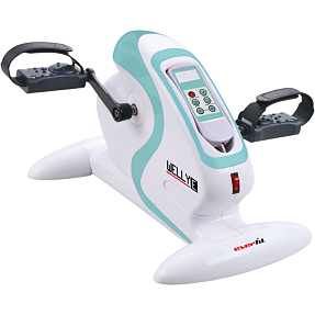 TOORX Everfit Welly E Mini Bike