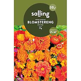 Salling frøblanding -  orange