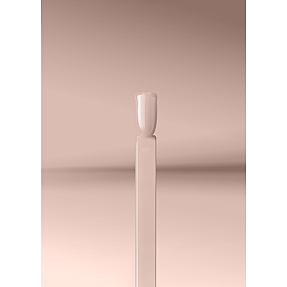 Gel neglelak 211 Beig'ic B*tch