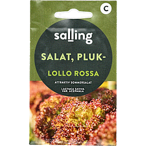 Salling pluksalat Lollo Rossa