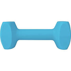 Dumbbell str. L - Hundetræningsudstyr