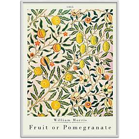 Fruit or pomegranate, W. M. - 70x100 cm