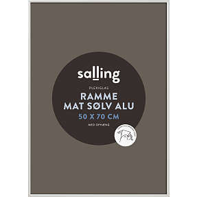 Mat sølvfarvet ramme m. plexiglas - 50x70 cm