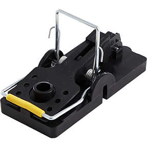 Musefælde i plast 2 stk.