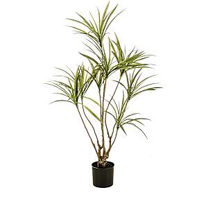 Kunstig plante - dracaena multitrunk