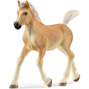 Schleich haflinger-føl 13951
