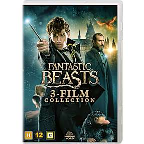 DVD Fantastic Beasts 3 