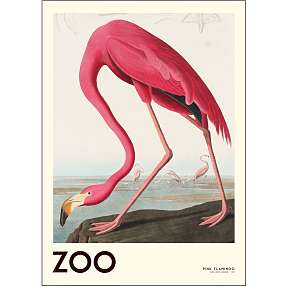 The Zoo Collection, Flamingo - 50x70 cm