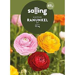 Salling blomsterløg Raunkel