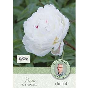 Claus Dalby Pæon Festiva Maxima