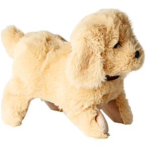 Chi Chi Salto Puppy bamse