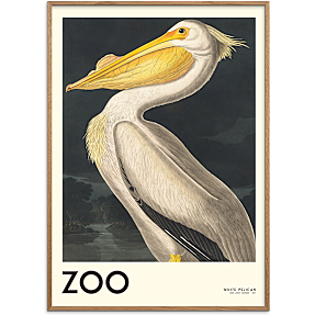 The Zoo Collection Pelican - 50x70 cm