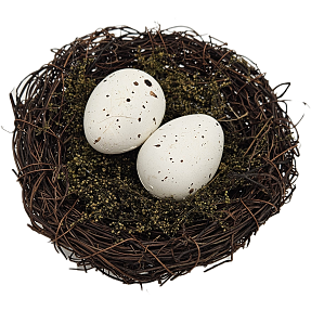 Naturrede med 2 æg 13,5 cm - brun
